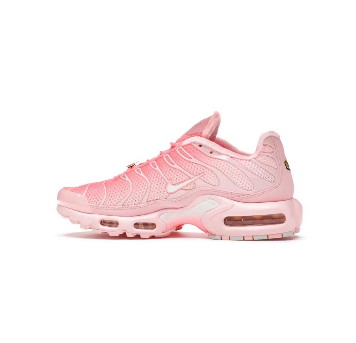 Nike Air Max Tn