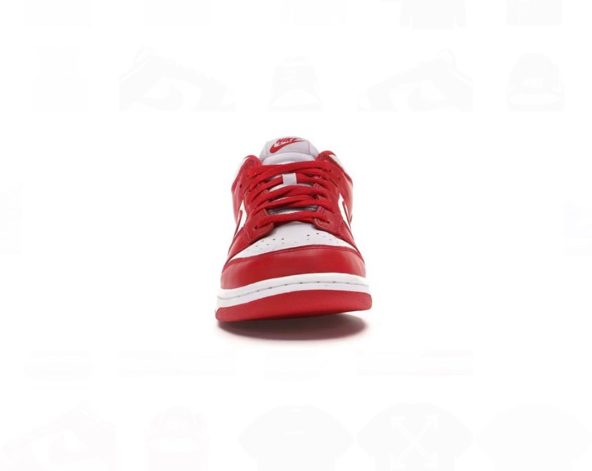 Nike Dunk Low Retro