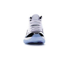 Air Jordan 11